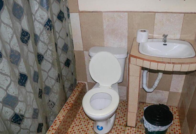 غرفة قياسية رباعية, Real Amazónico