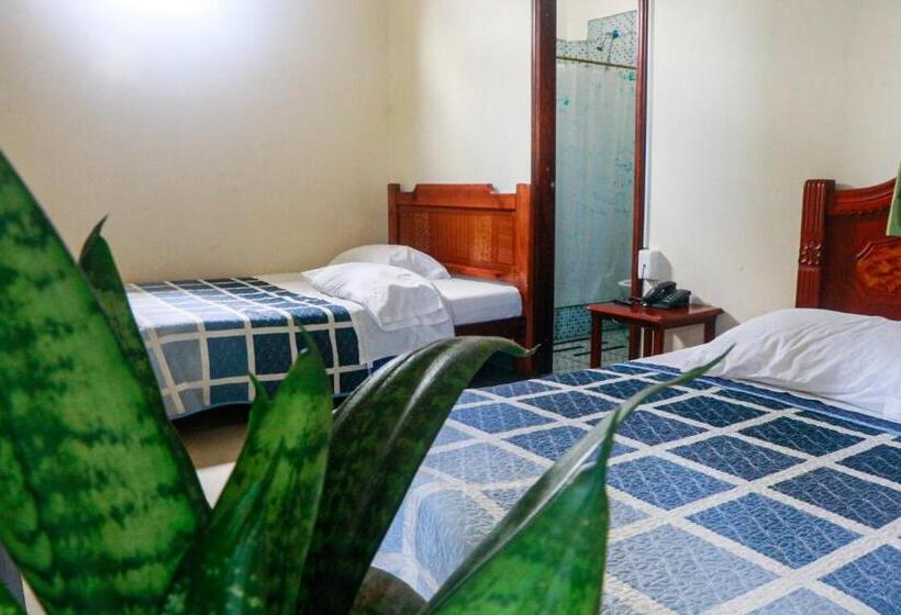 스탠다드 룸, Real Amazónico