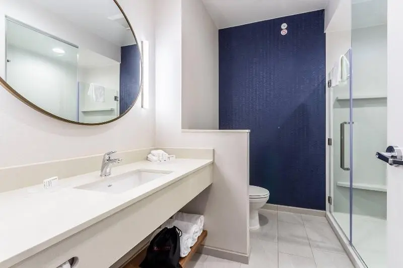 キングサイズベッドのスタンダードルーム, Fairfield Inn & Suites Dallas Arlington South
