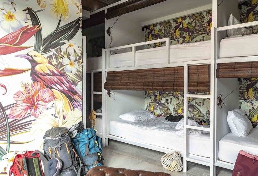 ルームシェアのワンベッド, Socialista Lifestyle Hostel