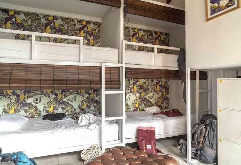 ルームシェアのワンベッド, Socialista Lifestyle Hostel