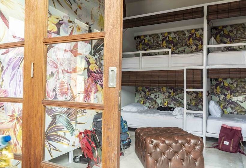 ルームシェアのワンベッド, Socialista Lifestyle Hostel