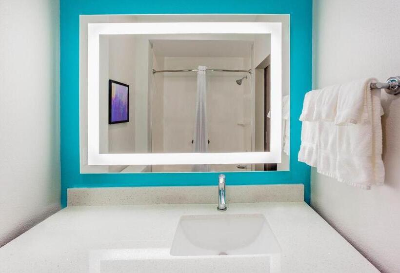 带大床的豪华间, La Quinta By Wyndham San Antonio Alamo City