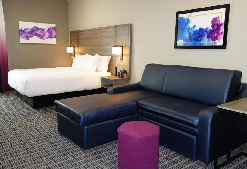 带大床的豪华间, La Quinta By Wyndham San Antonio Alamo City