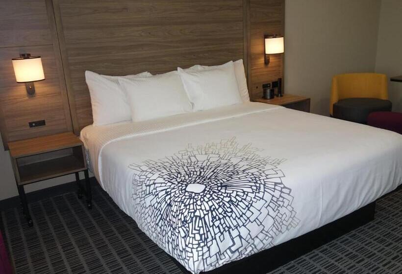 带大床的标准间, La Quinta By Wyndham San Antonio Alamo City