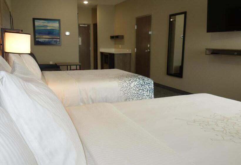 豪华房间, La Quinta By Wyndham San Antonio Alamo City