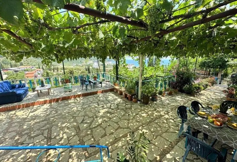 اتاق خانوادگی با چشم‌انداز دریا, Boungainvillea