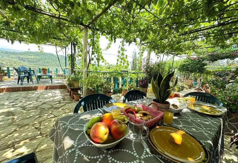 سوییت خانوادگی, Boungainvillea
