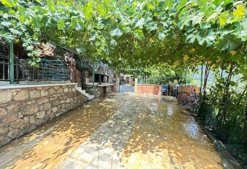 سوییت خانوادگی, Boungainvillea
