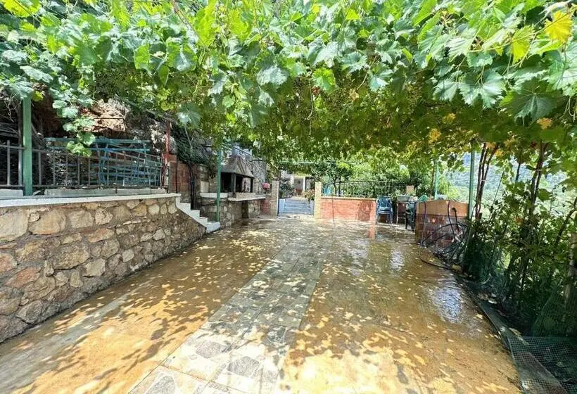 سوییت خانوادگی, Boungainvillea