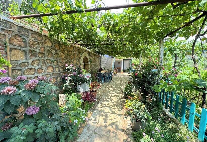 Family Suite, Boungainvillea