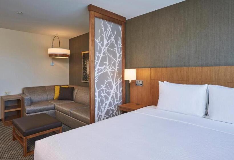 Habitació Estàndard Llit King, Hyatt Place Toronto/mississauga Centre