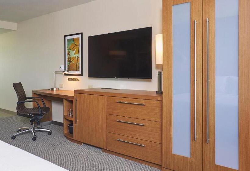 Suite Adaptada per a persones amb mobilitat reduïda, Hyatt Place Toronto/mississauga Centre
