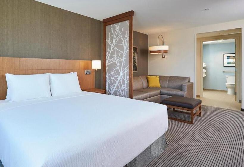 Suite Tilpasset til Handicappede, Hyatt Place Toronto/mississauga Centre