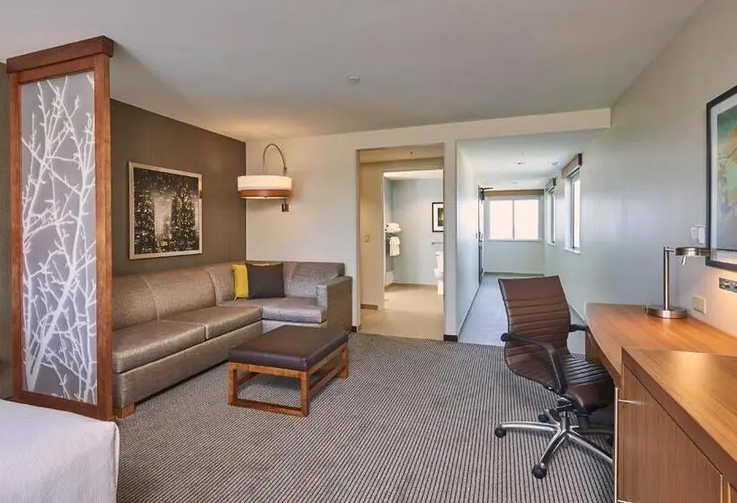 身障者適用スタンダードルーム, Hyatt Place Toronto/mississauga Centre