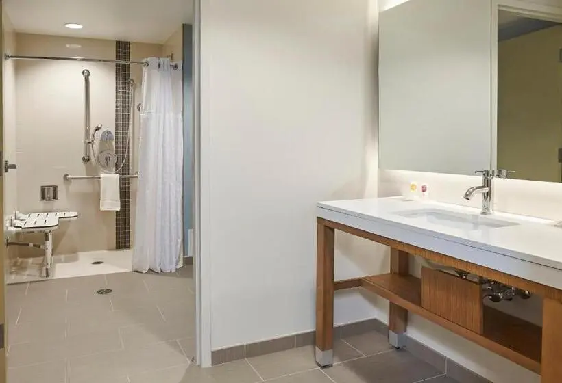 身障者適用スタンダードルーム, Hyatt Place Toronto/mississauga Centre