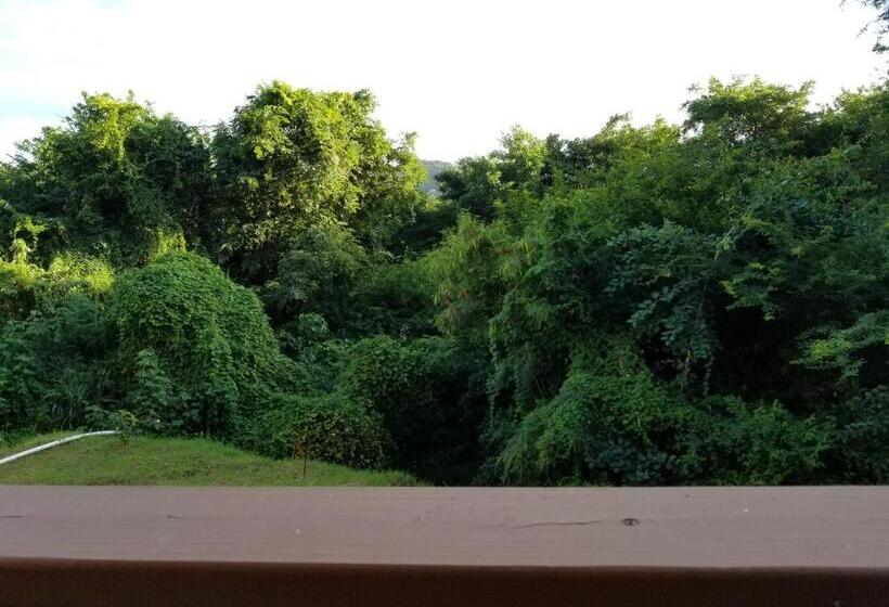 آپارتمان 1 خوابه با چشمانداز باغ, Keep Cool Guesthouse