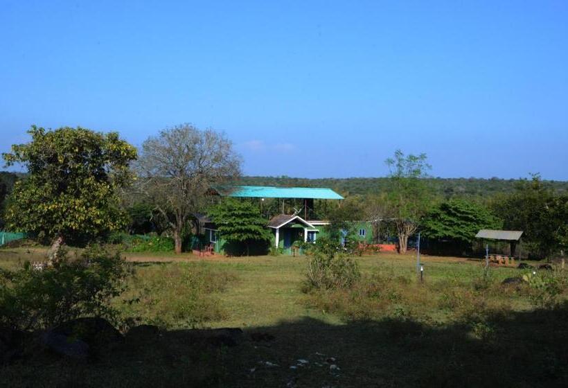 四人标准间, Aarraams Farms & Resorts