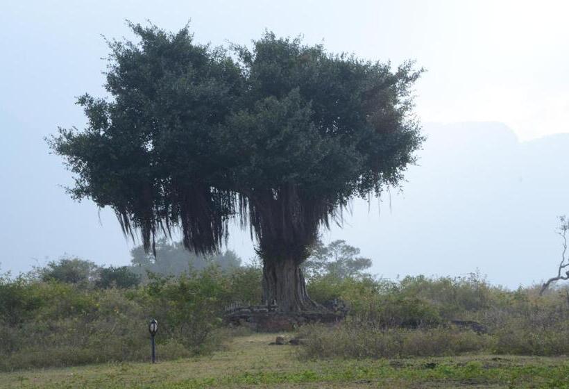 经济房, Aarraams Farms & Resorts
