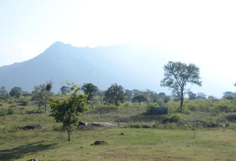 家庭间, Aarraams Farms & Resorts