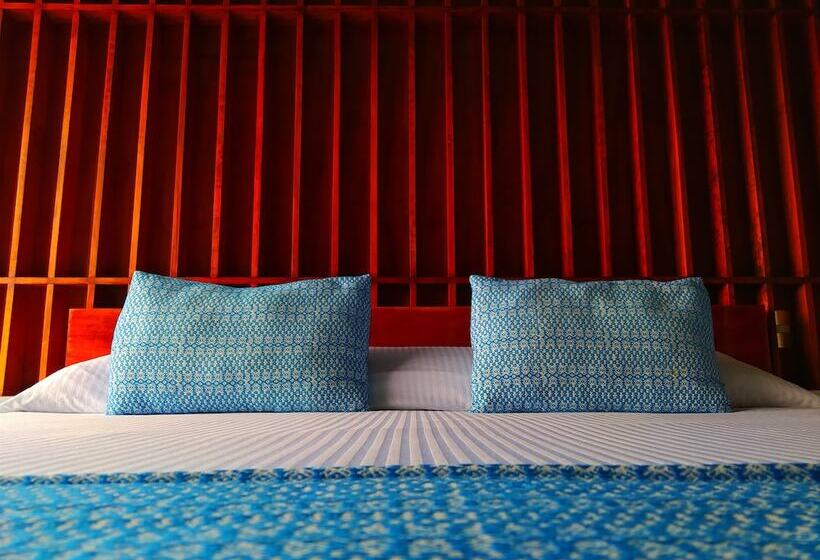 חדר סופריור, Momotus   Desayuno Incluido