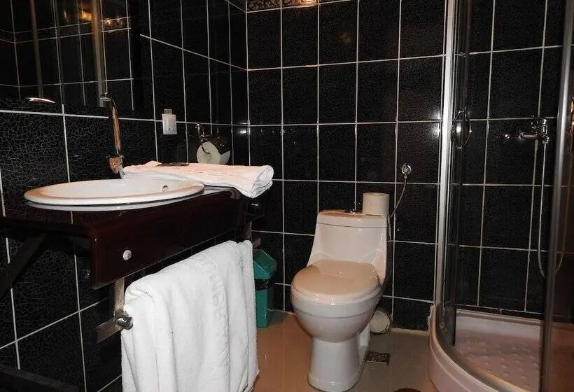 Standard Kolmen Hengen Huone, Dumbrava