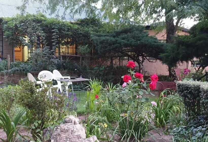 غرفة قياسية, Oban Farm Stay Van Reenen