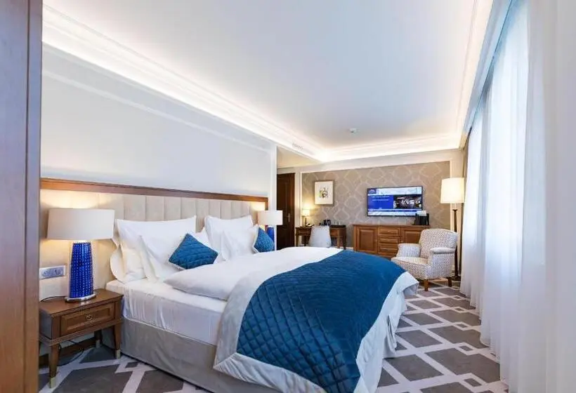 プレミアムルーム, Palace Art Hotel Pezinok