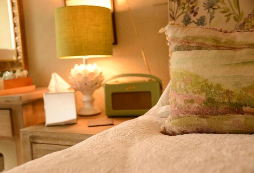 Chambre Standard Individuelle, Scourie