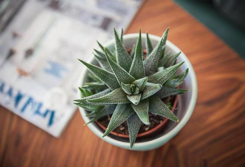 Номер Deluxe, Auberge De Rivaz