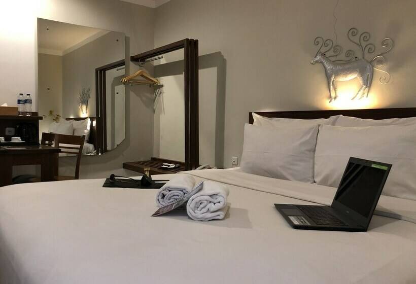 חדר דלוקס, Burza