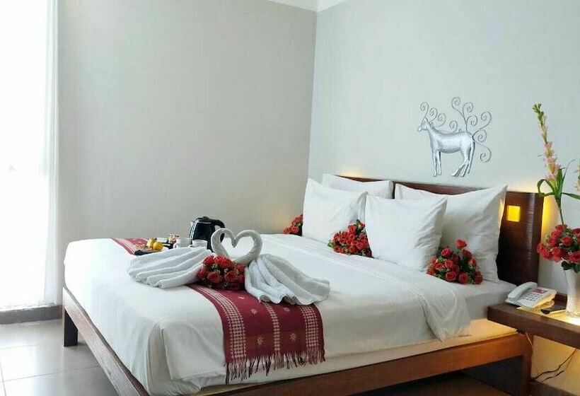 חדר דלוקס, Burza