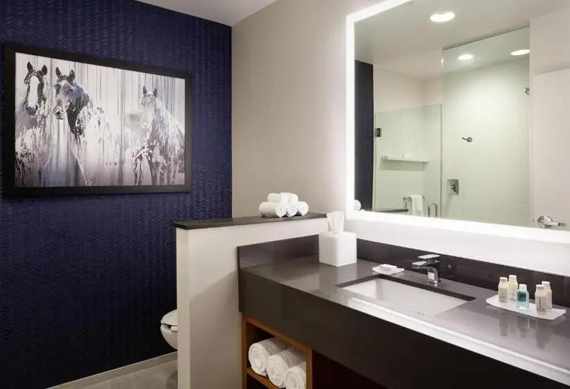 エクゼクティブワンルーム, Fairfield Inn & Suites By Marriott Wellington West Palm Beach