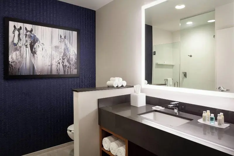 キングサイズベッドのスタンダードルーム, Fairfield Inn & Suites By Marriott Wellington West Palm Beach