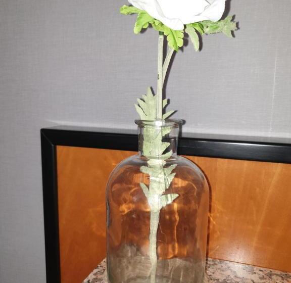 标准间, Sonnenschein