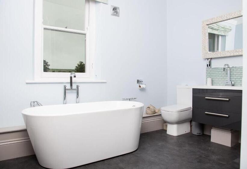 חדר דחוקס עם מיטת קינג, The Globe Angle