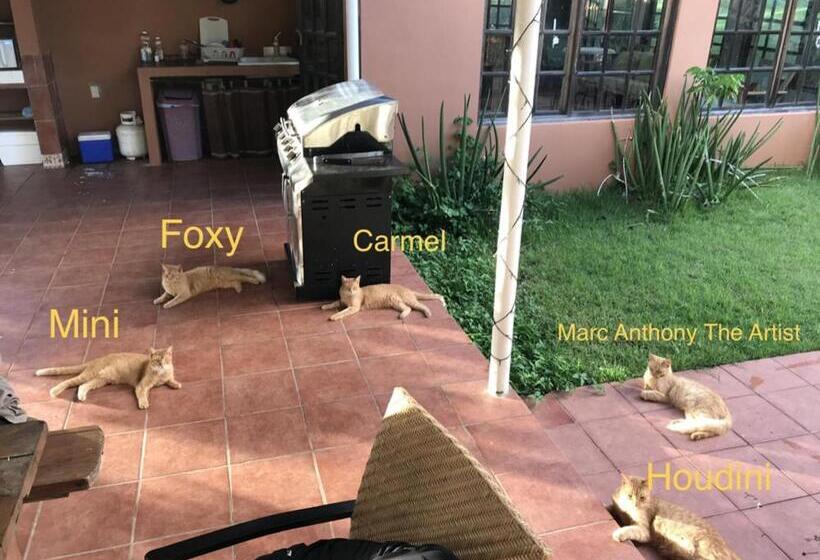 سوییت, Isla Hermosa Guesthouse