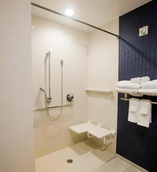 キングサイズベッドのスタンダードルーム, Fairfield Inn & Suites By Marriott Philadelphia Broomall/newtown Square