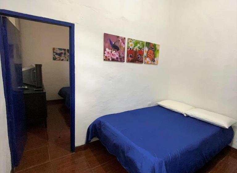 Апартаменты 1 Спальня с Видом, Posada Turistica Nakku