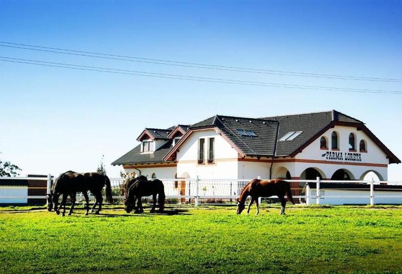 חדר סופריור, Farma Loreta