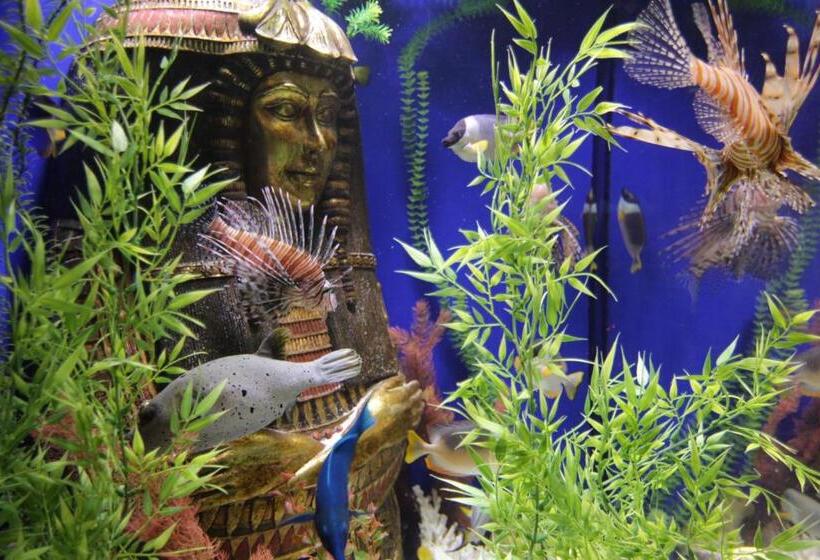 Вилла 3 Спальни, The Roxbury