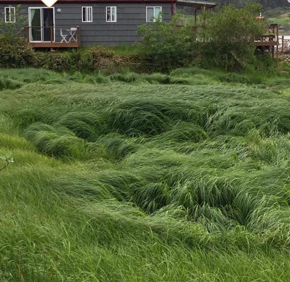 Balkonlu Standart Oda, Wheeler On The Bay Lodge And Marina