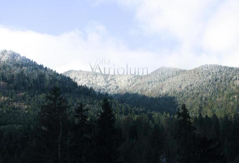 빌라 침실 1개, Villa Atriolum