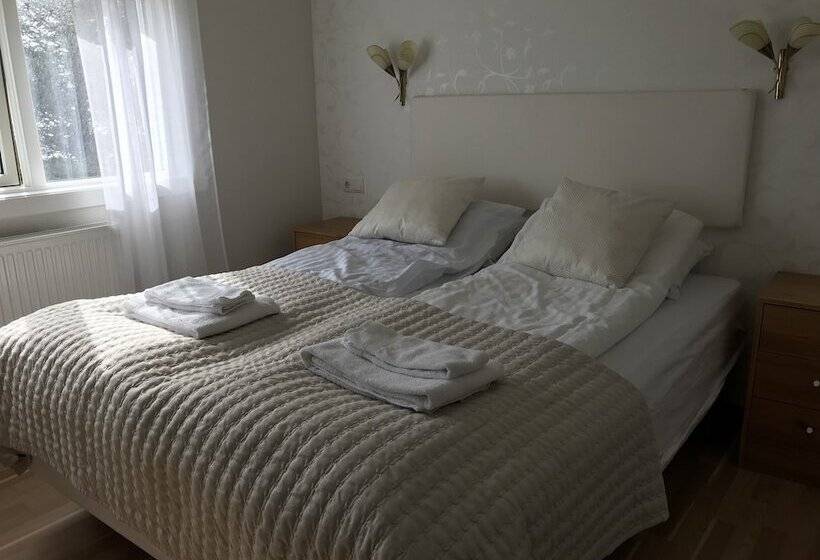 اتاق استاندارد با چشمانداز دریا, Finna Hótel