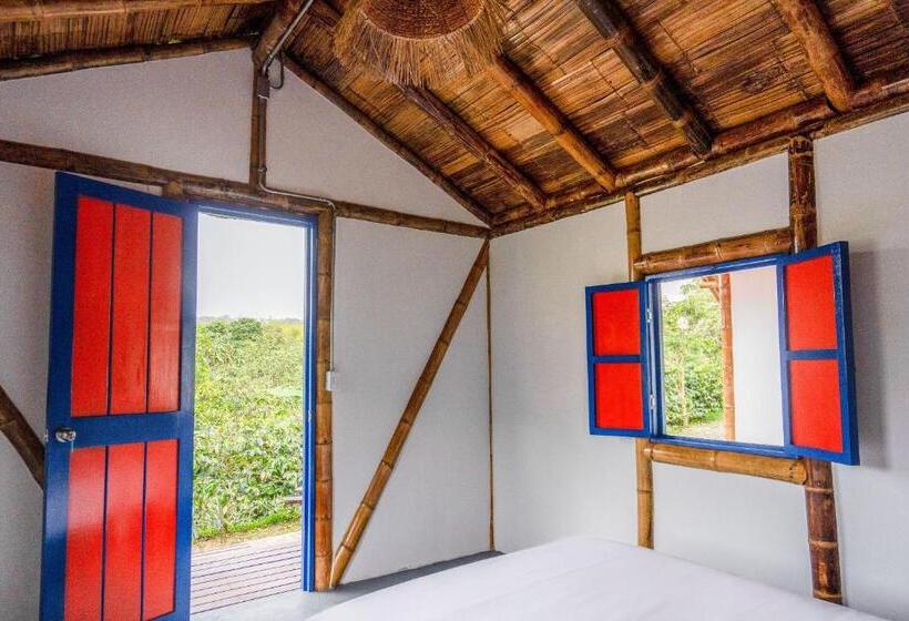 Standard Tent, Selina Quindio