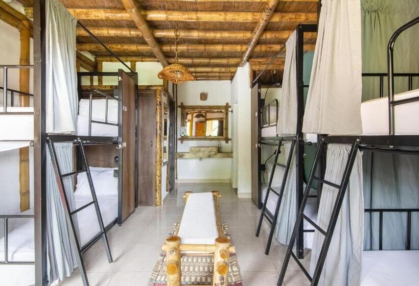 패밀리 룸, Selina Quindio