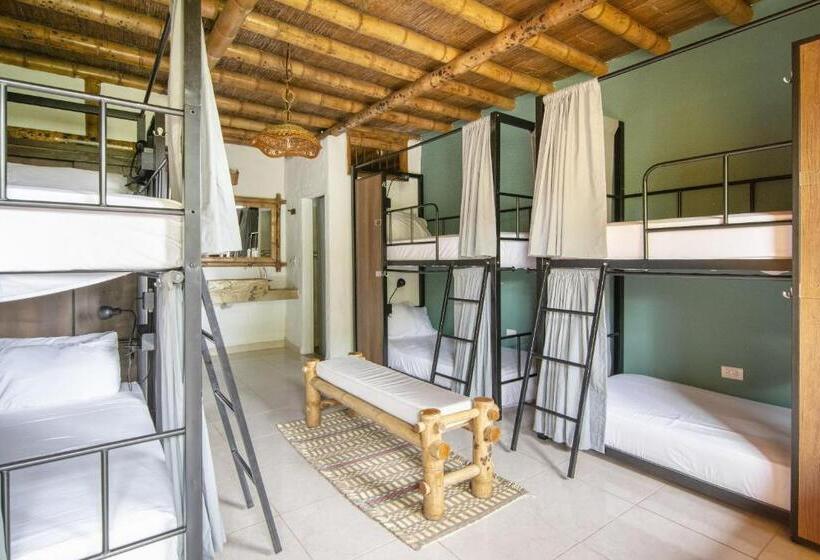 패밀리 룸, Selina Quindio