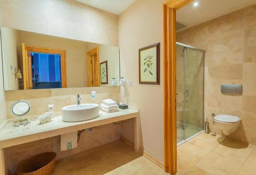 シングルデラックスルーム, Villa Estet Bağ