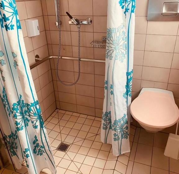 Номер Стандарт Адаптированный для Инвалидов, Lyssach