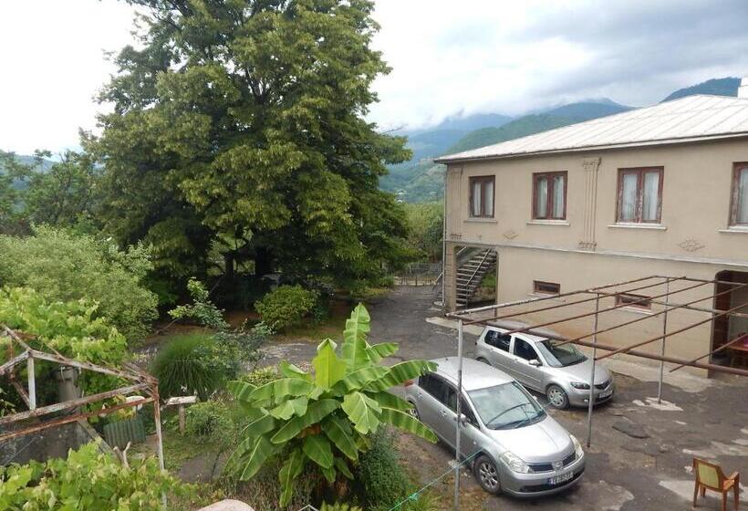 اتاق خانوادگی, Savanna House Jvari